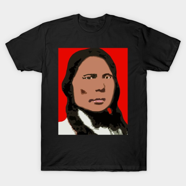 crazy horse T-Shirt by oryan80